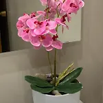 Precioso Piso Recien Reformado En Apartman