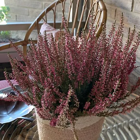 Precioso Piso Recien Reformado En Daire *