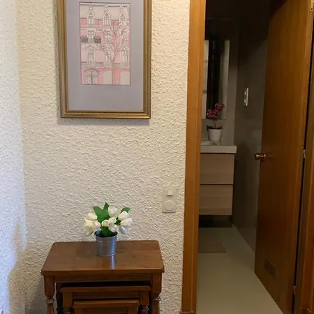 公寓 Precioso Piso Recien Reformado En 萨拉戈萨