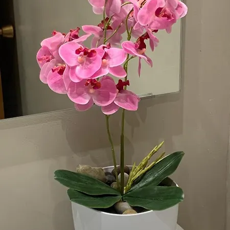 Precioso Piso Recién Reformado En Apartamento