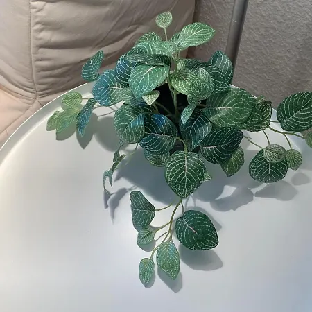 Precioso Piso Recién Reformado En Apartamento *