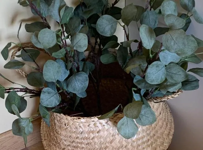 Precioso Piso Recién Reformado En Appartement Saragosse