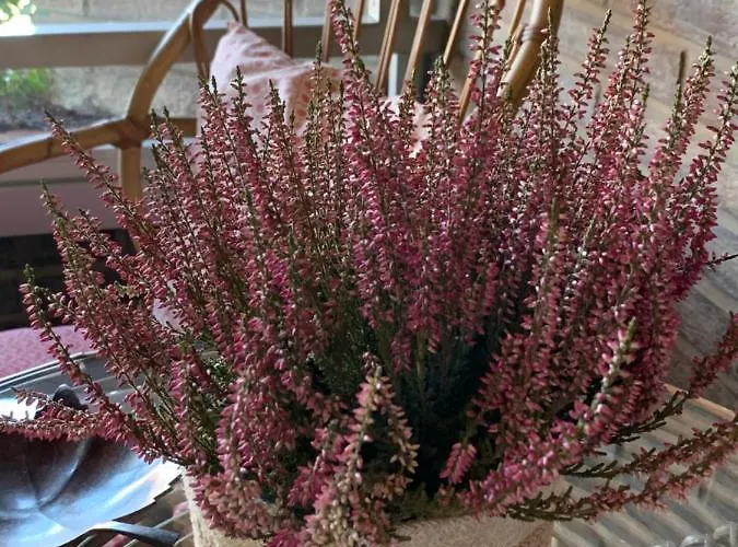 Precioso Piso Recien Reformado En 아파트 *