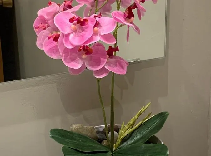 Precioso Piso Recién Reformado En Apartamento