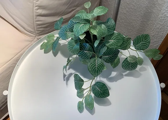 Precioso Piso Recien Reformado En 아파트 *